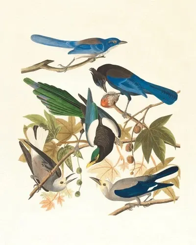 Cinq oiseaux différents sur des branches